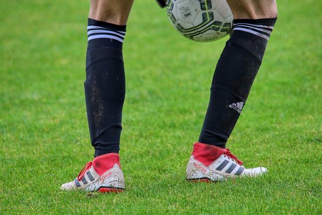 WTA进步榜让辣妈本西奇一夜爆火，三位天才少女谁会成未来大黑马